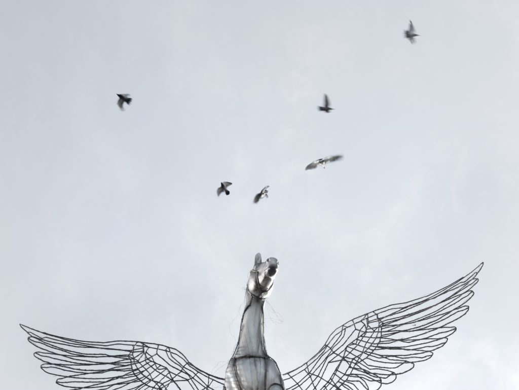 Apollonia Müller, für Festival Out Of The Box 2025. Pegasus mit Tauben.